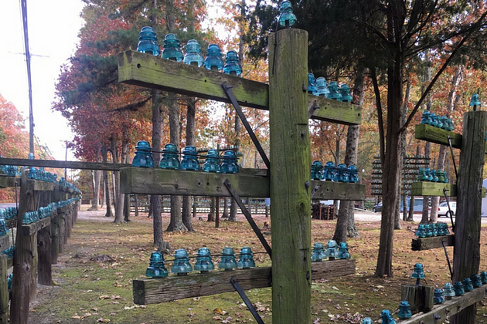 Galloway’s Green Insulator Display Is More Than Meets the Eye