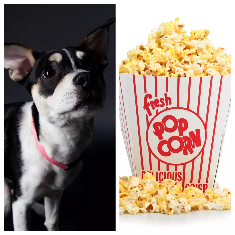 ASH vs. FOOD in &#8220;The Popcorn Tie-Breaker&#8221; [VIDEO]