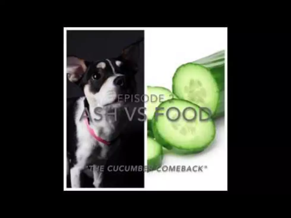 ASH vs FOOD in “The Cucumber Comeback” [VIDEO]