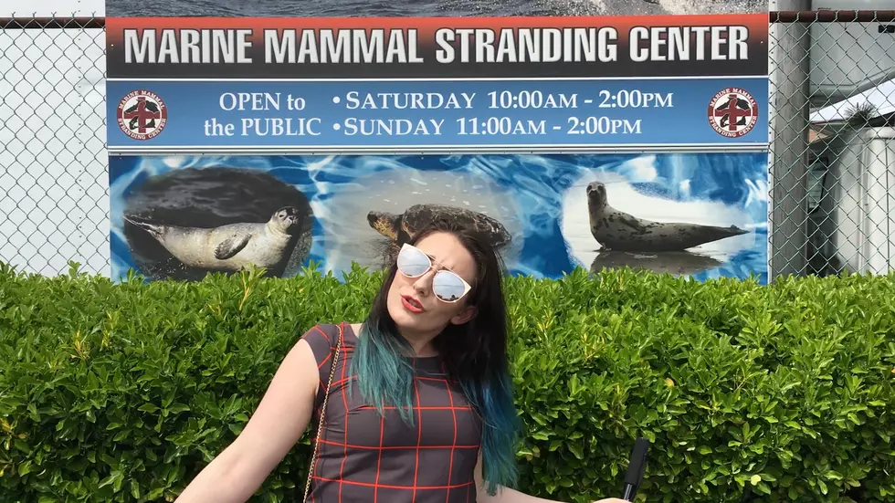 Weekends In Jersey | Marine Mammal Stranding Center