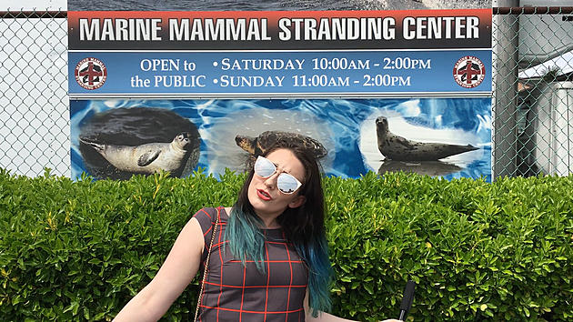 Weekends In Jersey | Marine Mammal Stranding Center