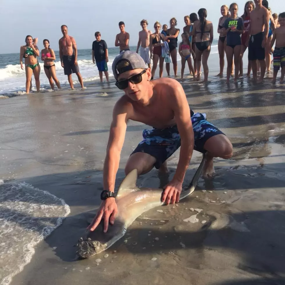 Teen Catches Shark in Sea Isle