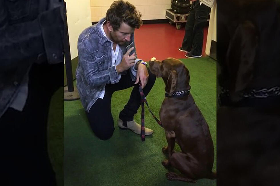 Brett Eldredge&#8217;s Dog Edgar Shows off His Skills [VIDEO]