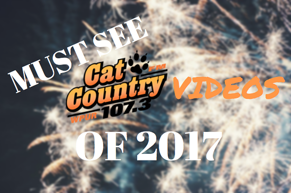 The TOP 5 Cat Country Videos of 2017 [VIDEO]