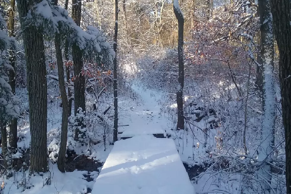 Cat Country Listeners Show Off Their Snow Day Pics! [Photos]
