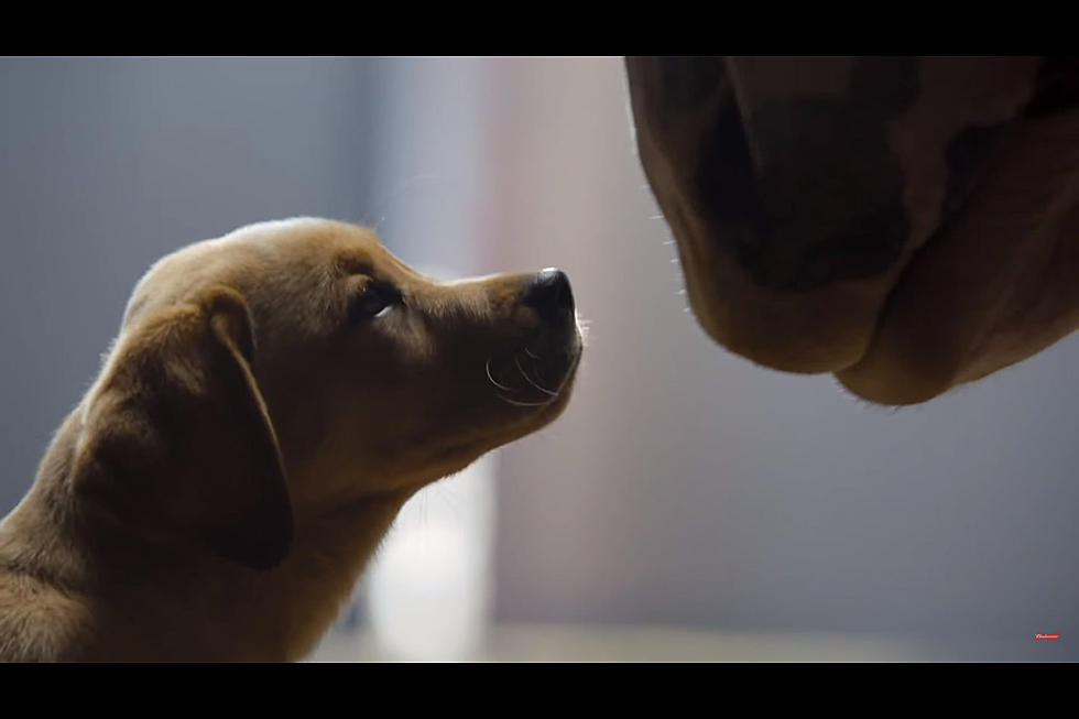 Top 15 Super Bowl Commercials of All Time