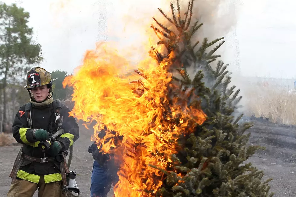 This Is What Happens When Your Christmas Tree Is Too Dry