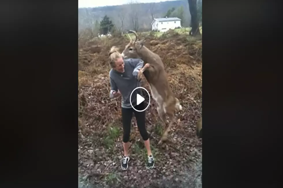 Watch How This Deer Tries To Mate With A Teenage Girl