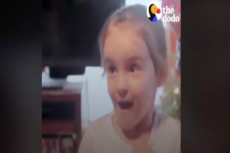 Little Girl Gets Her Ultimate Christmas Wish