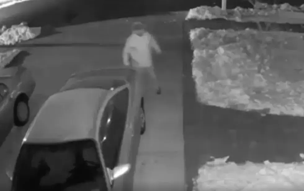 Who’s This Breaking Into Cars in Mays Landing [VIDEO]