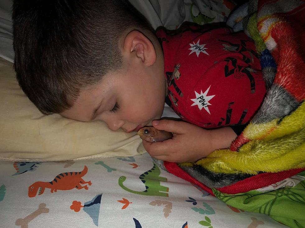 Boy Sleeps with Fish, Accidentally Kills It