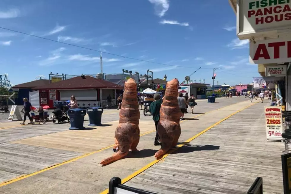 Dinos Spotted on the Wildwood Boardwalk!