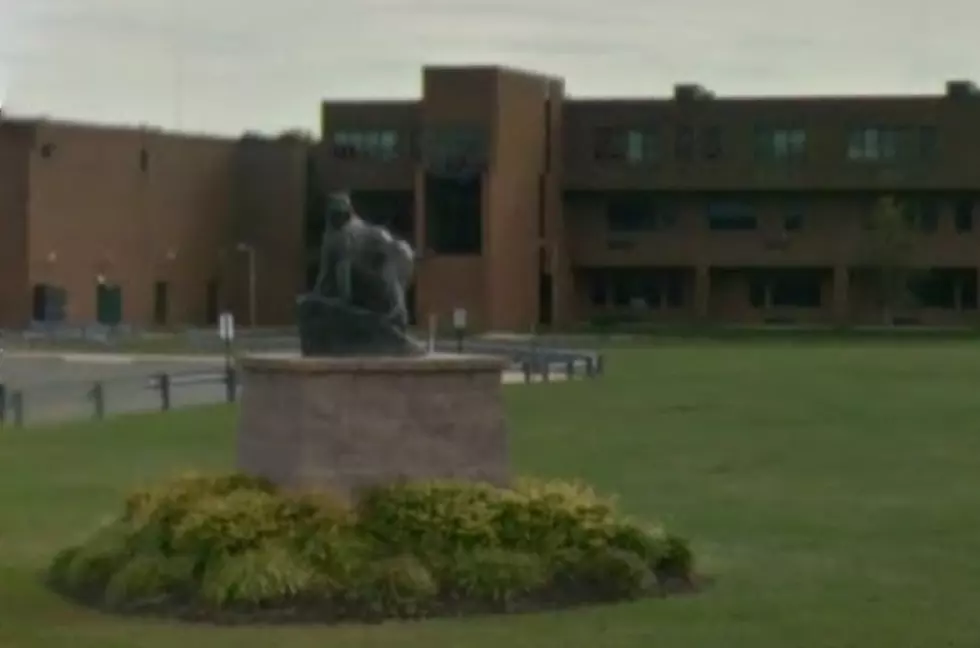 2 Arrested for Defacing Pinelands High Sign and Wildcat Statue