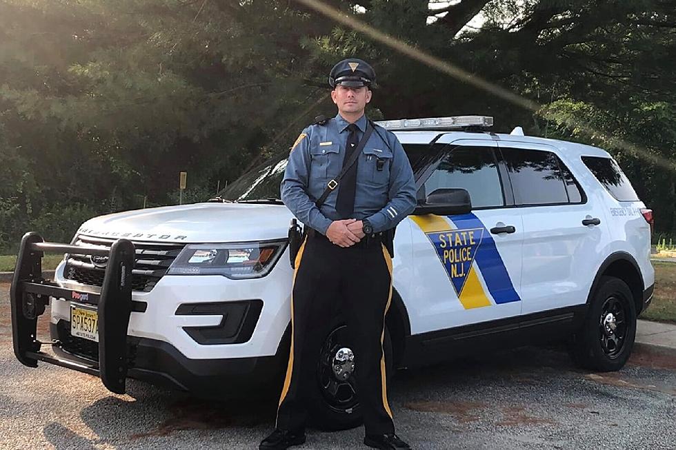 NJ Trooper Crashes Car in Cumberland County and Gets Trophy