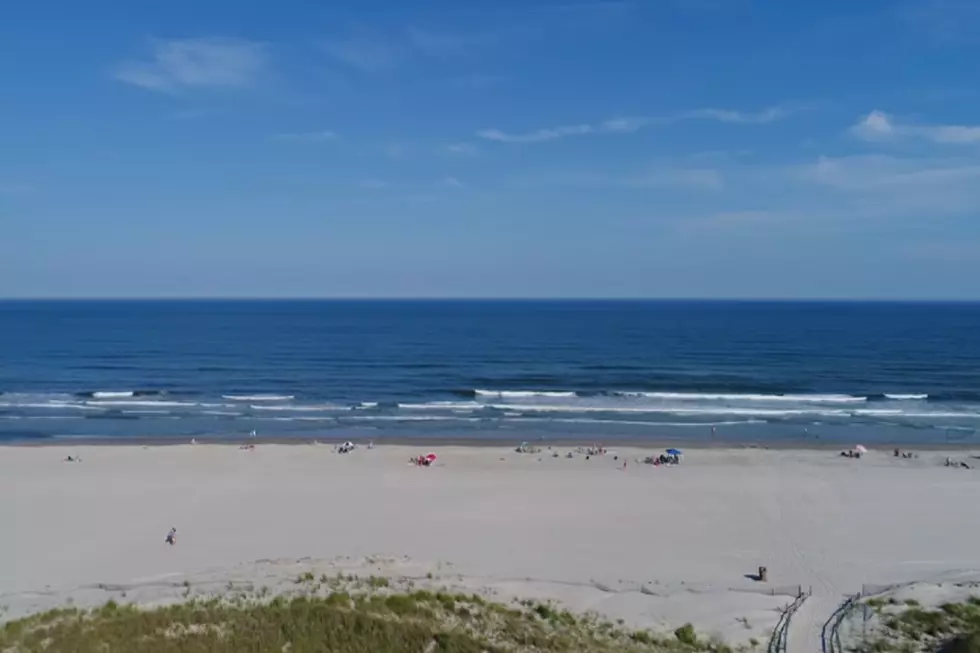 Awesome Aerial Footage of Avalon Beach