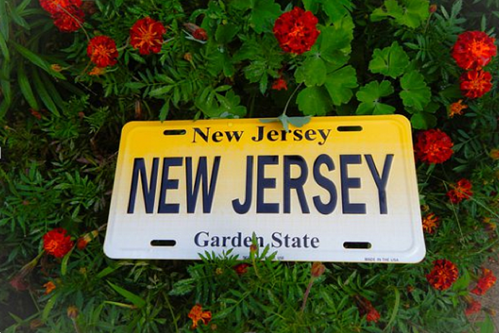 3 Super Random NJ Laws Too Weird To Believe