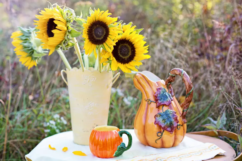 Decorate For Fall Without Halloween Overload