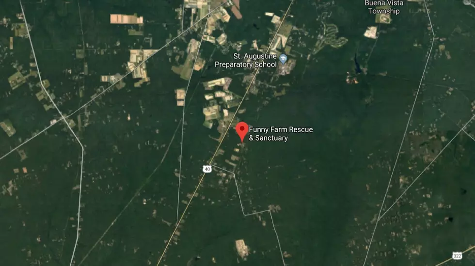 Funny Farm Animal Rescue in Mays Landing Says Man Stole Dog