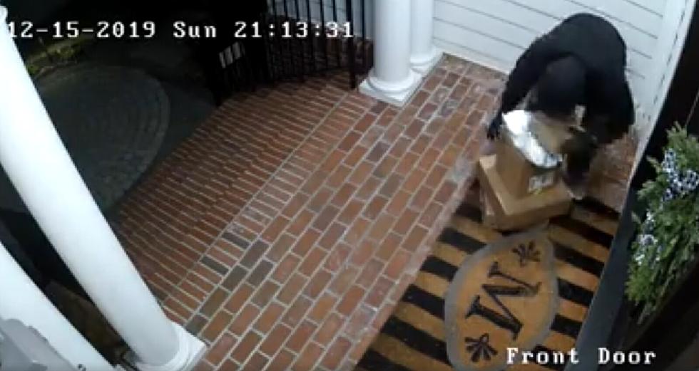 Avalon Police Look For Help in Identifying Porch Pirate