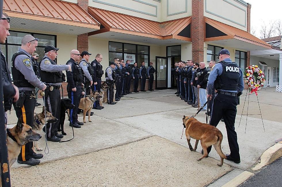 HEARTBREAKING: Retired Barnegat K9 Is Put Down