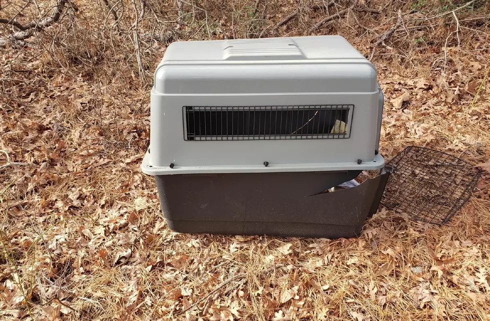 Millville Police Say Dead Dog Found in Crate in Woods