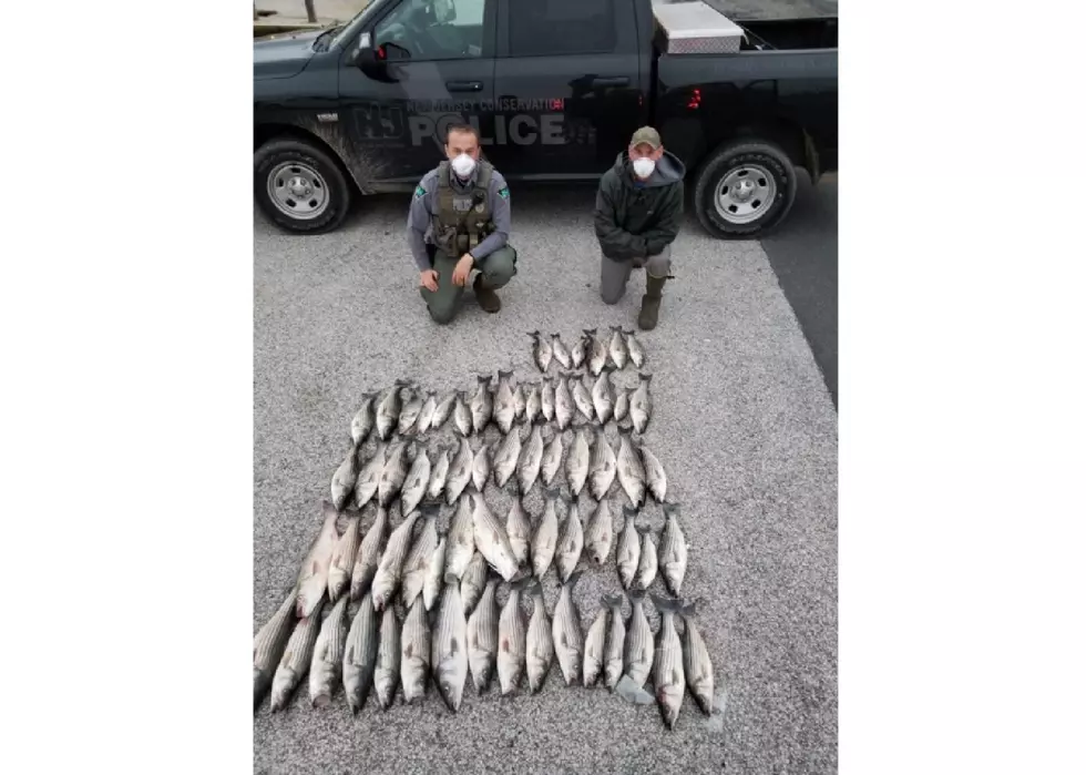 Fish Story: 2 Men Busted in Atlantic City for Undersized Bass