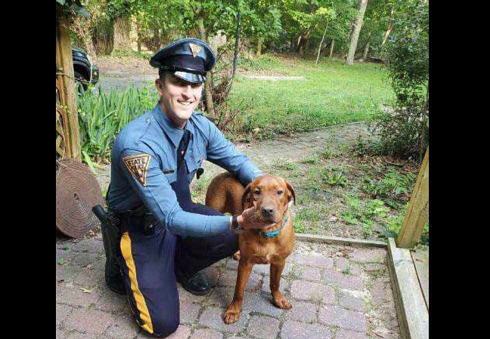 State Trooper Jumps in Water to Save Maurice River Township Dog