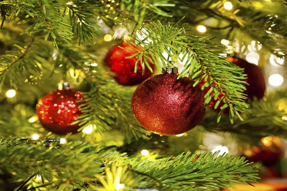 Your Old Christmas Tree Can Help Build New Dunes in Brigantine