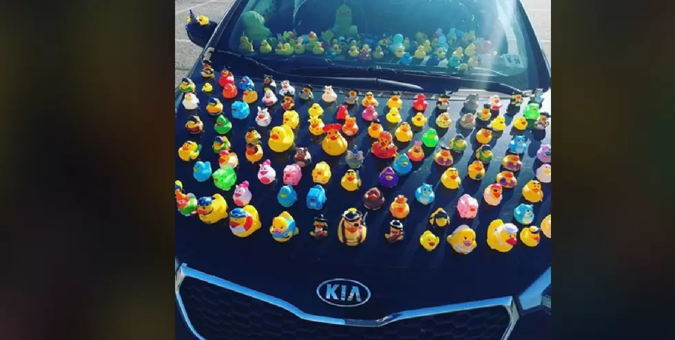 Has the Duck Car Delivered Your Food in the Northfield Area?