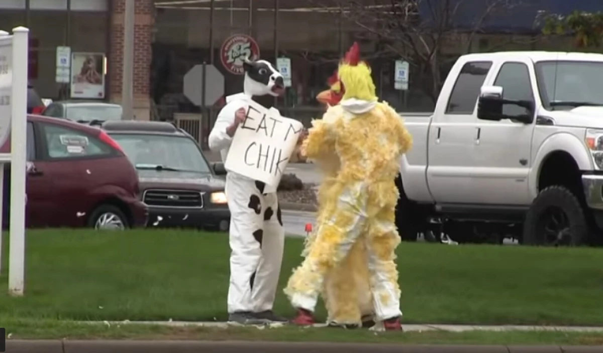 WATCH: That Time the Chickens Attacked the Chick-fil-A Cow