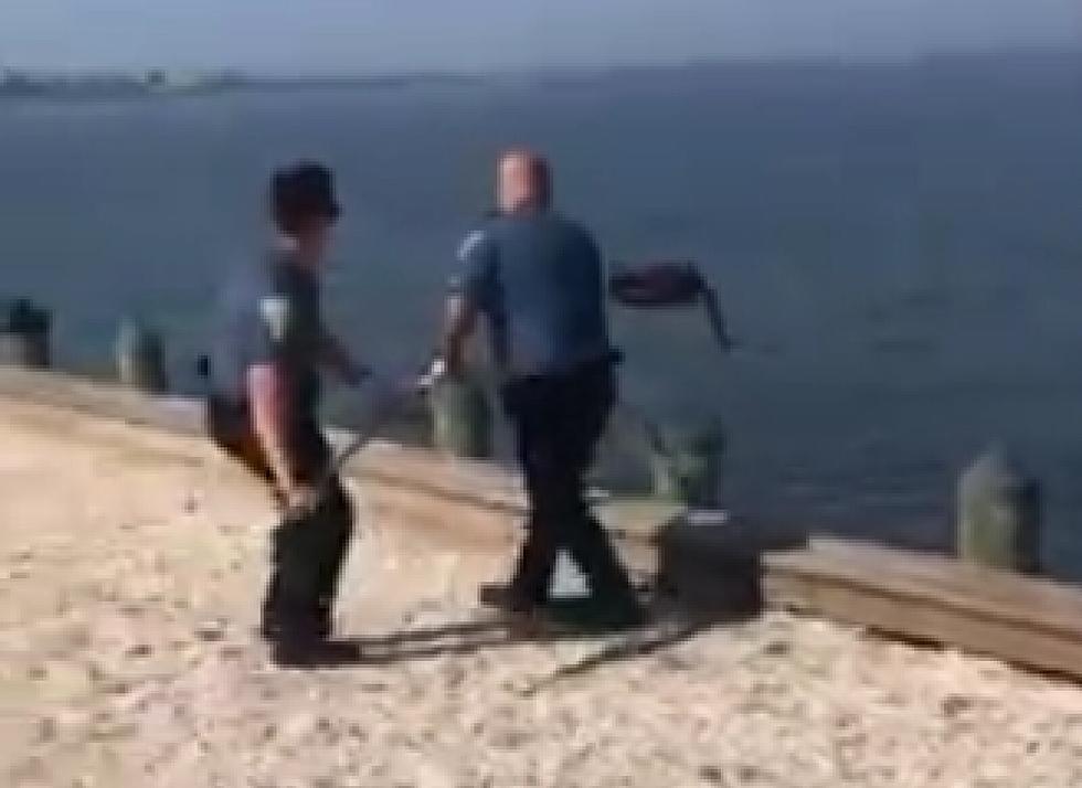 VIDEO: Beach Haven NJ Police Save Baby Fox From the Bay