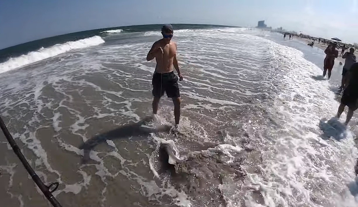 Shocking Video Shows How Close We Are To The Sharks At NJ Beaches
