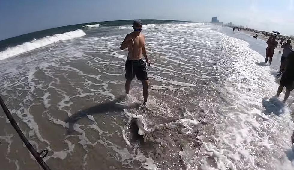 Shocking Video Shows How Close You&#8217;re Swimming With Sharks At NJ Beach
