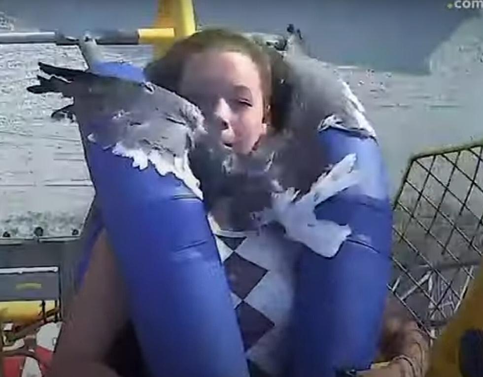 Seagull Attacks Girl’s Face on Slingshot Ride in Wildwood NJ