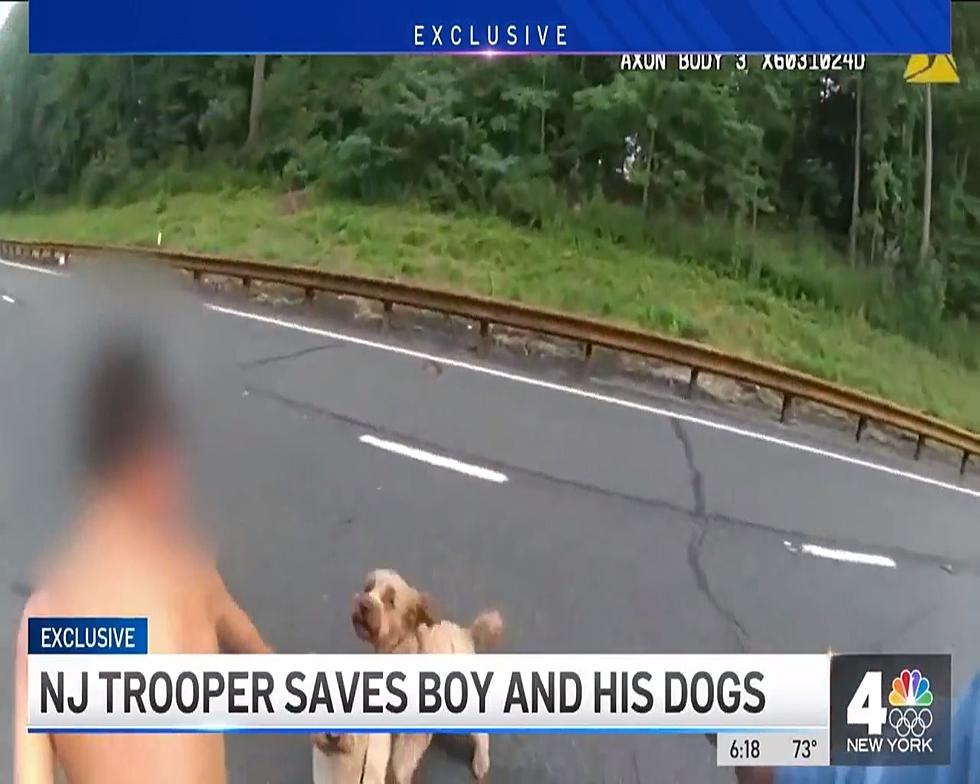 Watch NJ State Trooper&#8217;s Swift Rescue Of A Boy And His Two Dogs On The Garden State Parkway