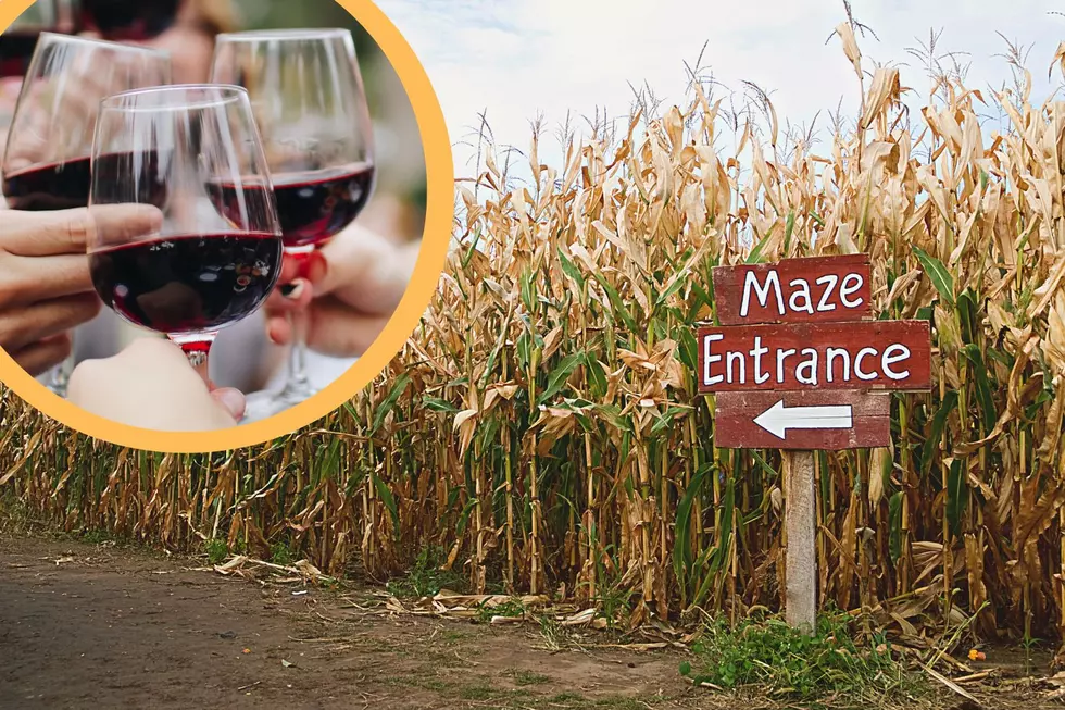 Wine-Tasting Corn Mazes: Can We Bring Them To South Jersey?