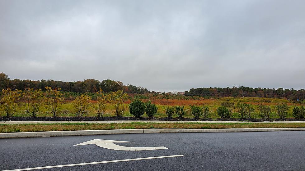 Ten Radical Ideas for that Empty Lot on the Black Horse Pike in Mays Landing, NJ