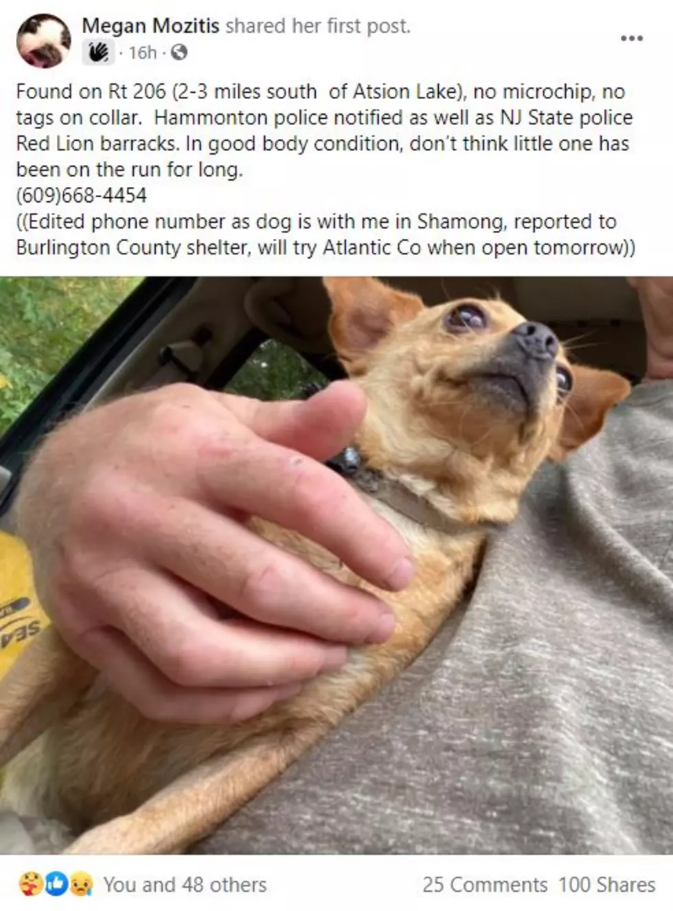 Megan Mozitis via Atlantic County Lost and Found Pets Facebook Group