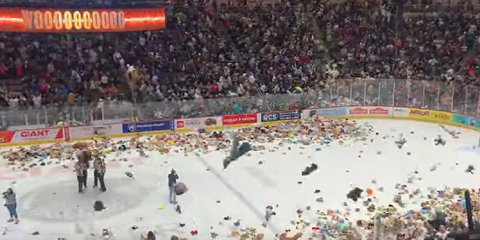 Lots of Love: Hockey Fans Pummel Ice With Teddy Bears in Hershey, PA