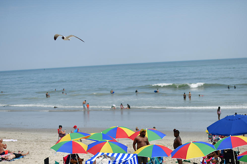 Summer’s Coming: 9 Things I Can’t Wait to Do When South Jersey Warms Up