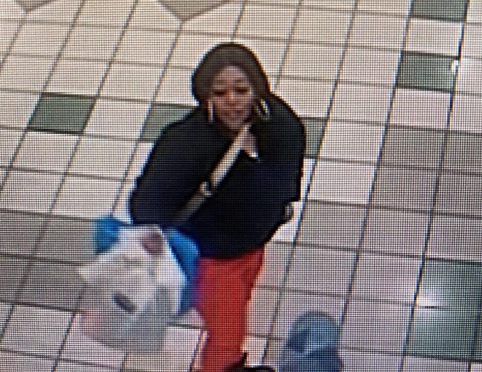 Vineland Police Want to Catch Shoppers Caught on Camera