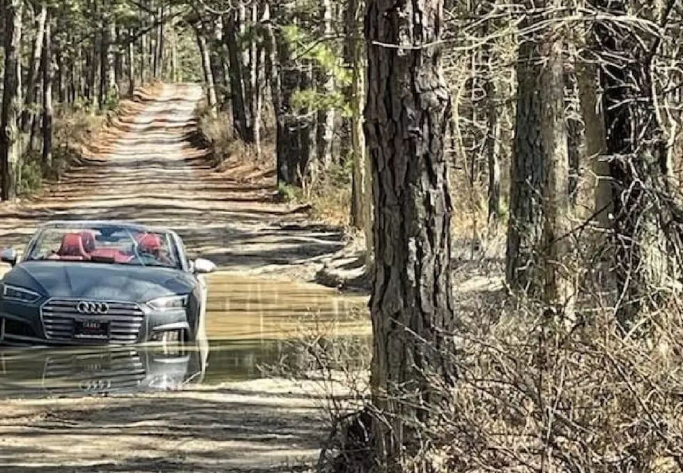Driver Gets Expensive Convertible Stuck in the Pine Barrens