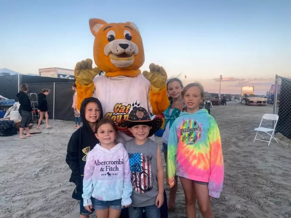 Did We Take Your Photo with the Cat in Wildwood?