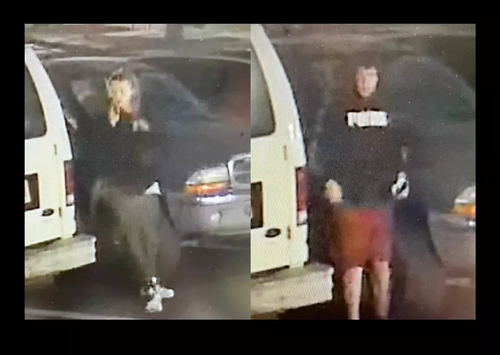 North Wildwood Police Ask For Help in Theft Investigation