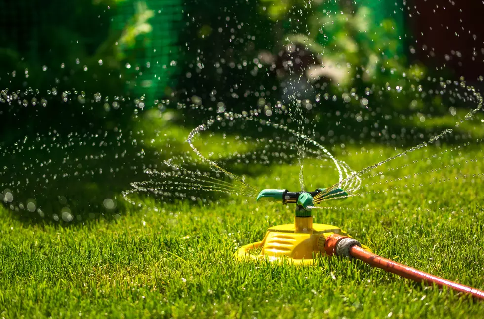 Heat Wave Causing Several NJ Counties To Cut Down On Water Usage