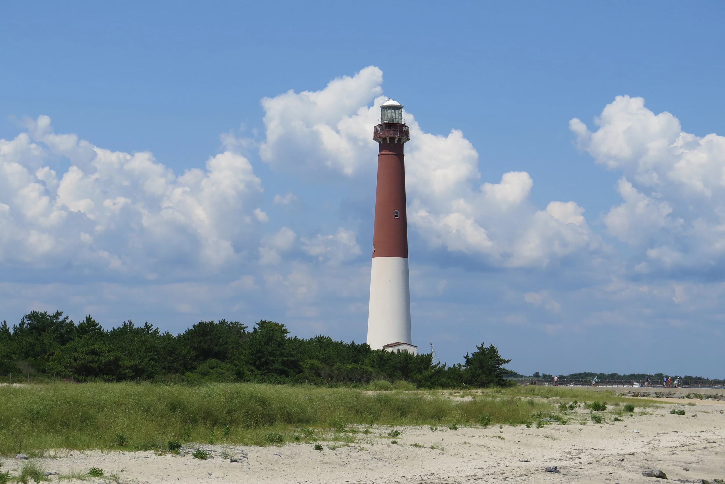 are dogs allowed on long beach island nj