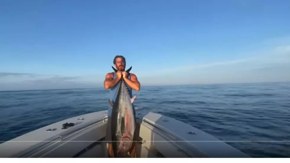 Watch Brigantine Fisherman Catch Huge Tuna While Fishing Solo