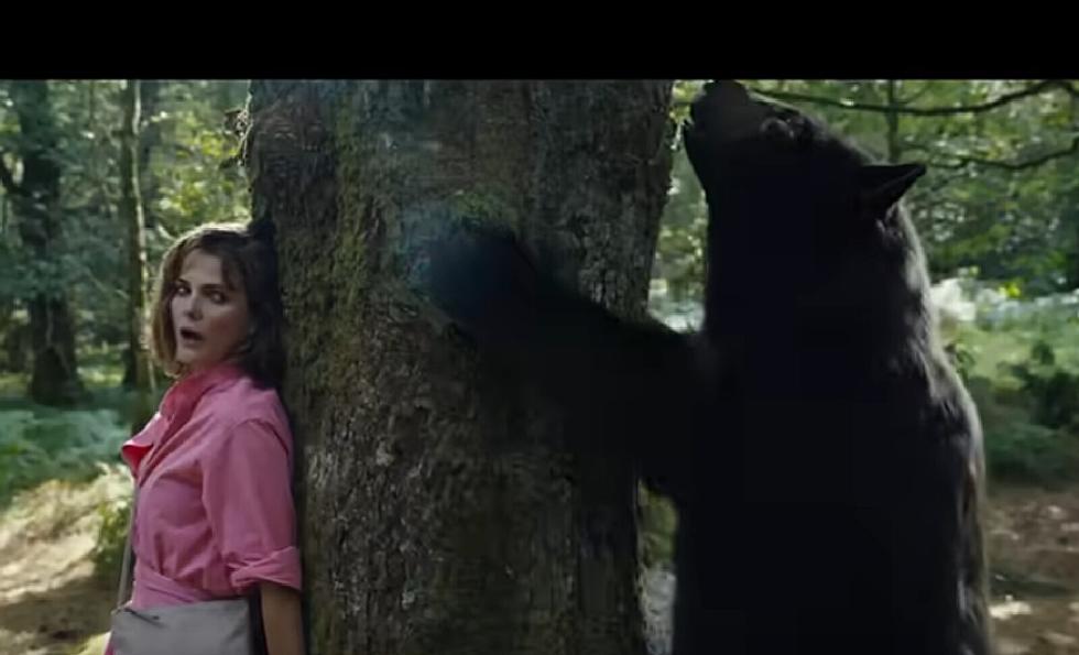 7 Things I Learned Seeing the Movie ‘Cocaine Bear’