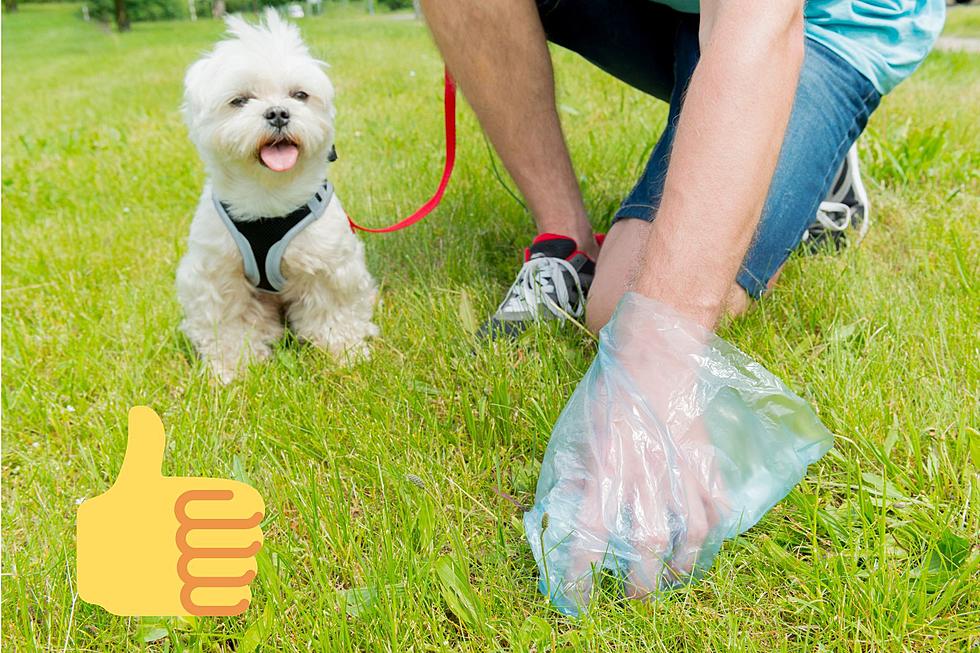 Hey, Egg Harbor Township, NJ, Dog Owners: Clean Up Your Dog’s Poo!