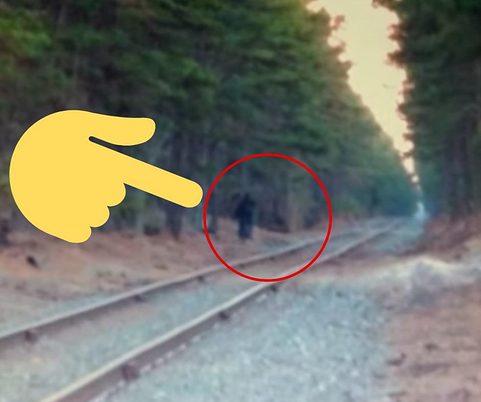 Amazing! Is a Bigfoot Walking Around the Millville, NJ Area?